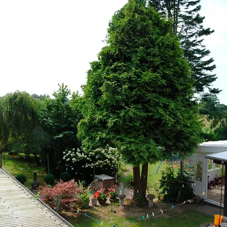 Alte Schmiede App 2